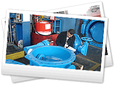 ���� �����